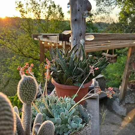 Soprabosco Art&design Calcata