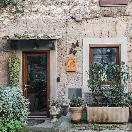 Soprabosco Art&design * Calcata